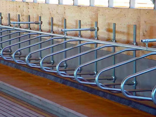 �ͻ�����