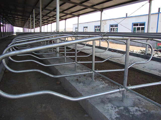 �ͻ�����