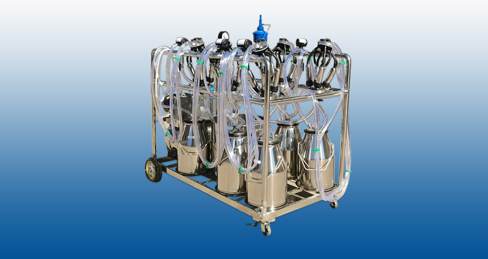 ����ḻ ʵ���ۺ�