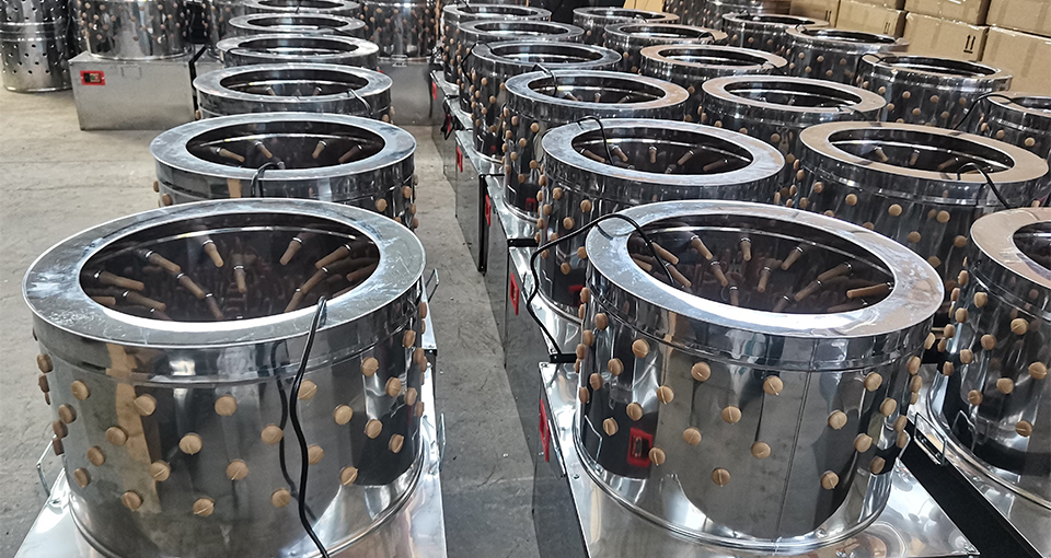 ������տ ֵ������