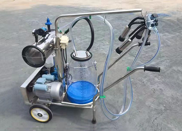 ���̻�������ɱ����ʽ