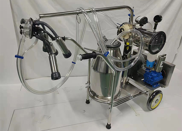 ���̻�--��ʱ��Ӫ����������