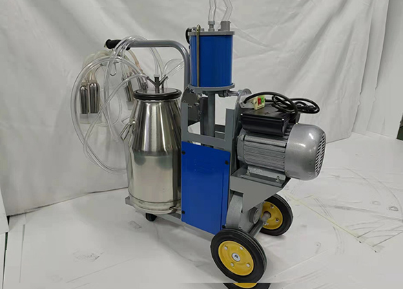 ���ά�����̻�������